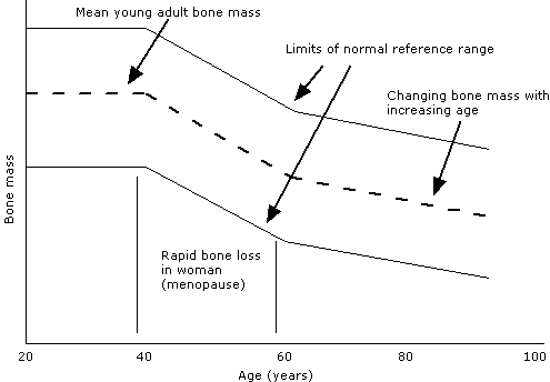 Peak bone mass